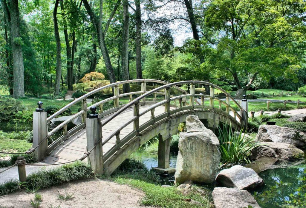 tree-forest-path-architecture-bridge-flower-1149556-pxhere.com